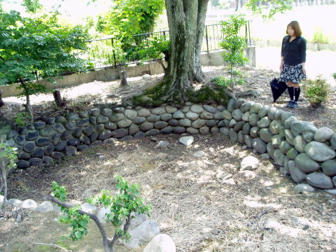 ����,���~,�M��,�Ɛb,�����,���,���B,�Z�p��