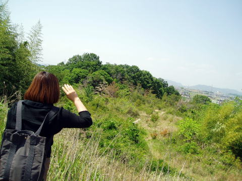 ���v�ۍ�,���q���v�荇��,�H�ĕ�,���X����,�I������