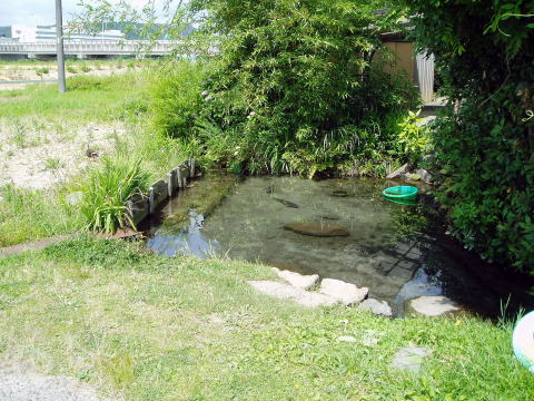 �u�i����,��k������,����Ǐt,�V��,�������s,��������